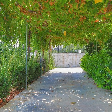 Villa Aphrodite Finiki Polis Ngoại thất bức ảnh